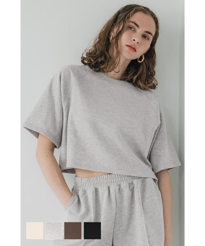 【良品】コリンク Lv.11 ポケモンダイパリメイク】コリンクの進化と覚える技&種族値【BDSP