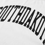 Tシャツ メンズ 半袖 プリント ロゴ カットソー カレッジ ビッグT 英字 ドロップショルダー クルーネック コットン メール便可 23ss coca コカ
