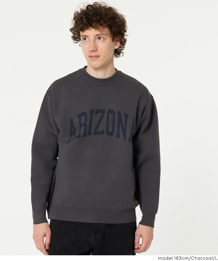 セール☆2490円→1990円 ポリウーリーロゴクルーネックニット メンズ