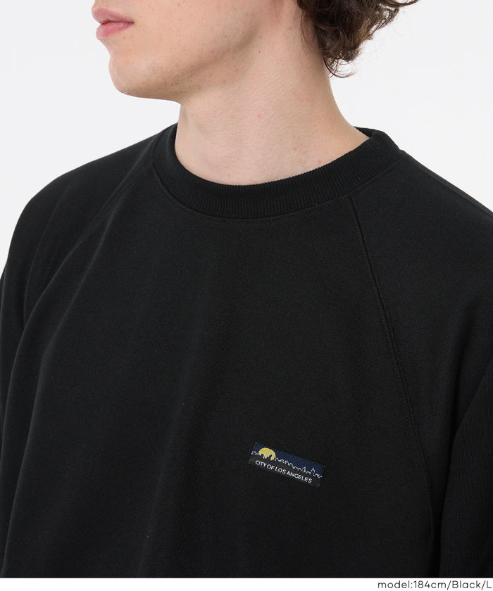 EAZY TEX ポリエステル裏毛ラグランピスネームトレーナー メンズ